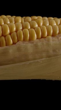 Dikey video. Siyah arka planda dönen yaprakları olan taze bir mısır koçanı yavaş bir ışıkla yavaş yavaş aydınlanıyor..