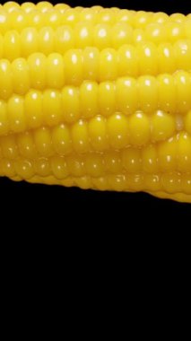 Dikey video. Yeni pişmiş mısır koçanı yavaşça döner ve meyve suyu ve yağ siyah bir arkaplana damlar..