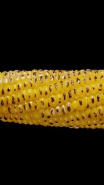 Dikey video. Kaynamış mısır koçanı, ateşte kavrulmuş çekirdekleri ile siyah bir zemin üzerinde dönüyor ve havada süzülüyor gibi görünüyor. Tek atış..