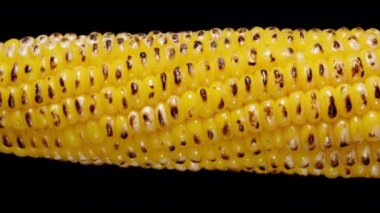 Siyah arka planda dönen kavrulmuş çekirdekli mısır koçanı yakın plan çekimi..