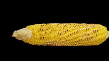 Hafif kömürleşmiş çekirdekli haşlanmış mısır koçanı yan tarafından izleniyor..