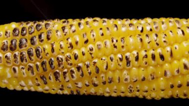 Mısır koçanı üzerindeki çekirdekler yavaş yavaş kavruluyor ve iyice karartılıyor..