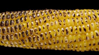 Mısır koçanı yakından bakınca, çekirdekler kavruluyor, patlıyor ve yavaş çekim her yöne doğru fışkırıyor..