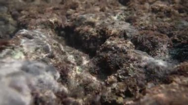 Sualtı kamerası kıyı kayalarını yakalar ve kısmen sudan yüzeye çıkarak geriye doğru hareket eder..