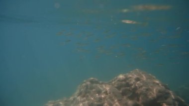 Suyun altındaki kamera mavi deniz suyunu ve sualtı kayalarının yakınındaki küçük bir balık sürüsünü yakalar. Sonra kamera yüzeye çıkıyor. İnsanların yüzeydeki uçurumun kenarında durduğunu gösteriyor..
