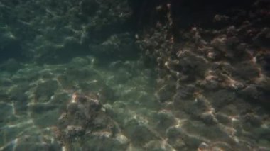 Güneş ışınlarındaki su altı kaya ve mercanları, sualtı görüntüleri..