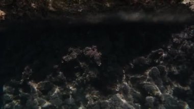 Suyun kenarındaki kamera, hem kıyıda hem de sualtında kayaların olduğu şeffaf denizi yakalar..