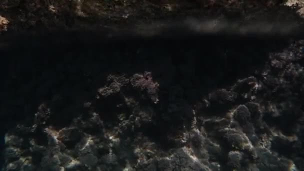 Камера Краю Води Захоплює Прозоре Море Камінням Березі Під Водою — стокове відео