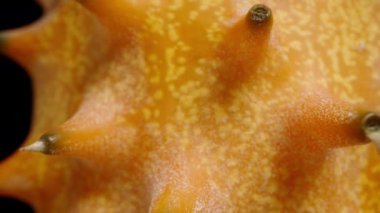 Kiwano, portakallı Afrika salatalığı. Siyah bir arka planda izole edilmiş. Makro yakınlaştırma.