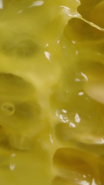 垂直录像 非洲黄瓜基瓦诺里面的肉和种子在黑色背景上 宏缩放 滑翔机 — 图库视频影像