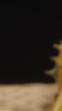 Dikey video. Kamera, dilimlenmiş bir Kiwano 'nun iki yarısı boyunca süzülüyor. Çivili bir Afrika salatalığı. Makro çekim.