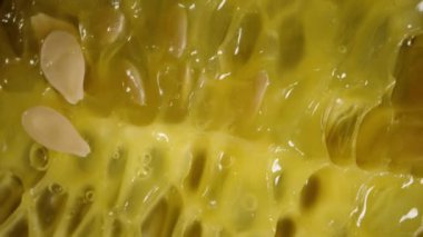 İçinde et ve tohum olan yarım bir kiwano. Siyah arka planda rotasyon. Makro yakınlaştırma. Düşen konsept.