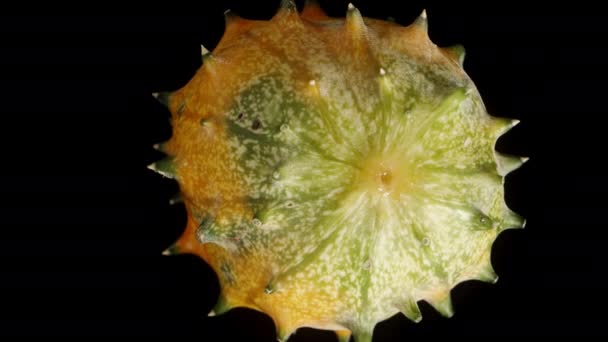 Zijaanzicht Van Stekelige Kiwano Komkommer Geïsoleerd Zwarte Achtergrond Rotatie — Stockvideo
