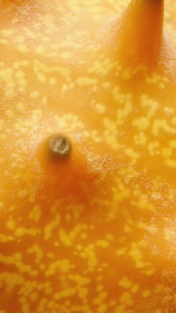 Pionowe Wideo Pomarańczowy Ogórek Kiwano Ostrymi Kolcami Struktura Makro Suwak — Wideo stockowe