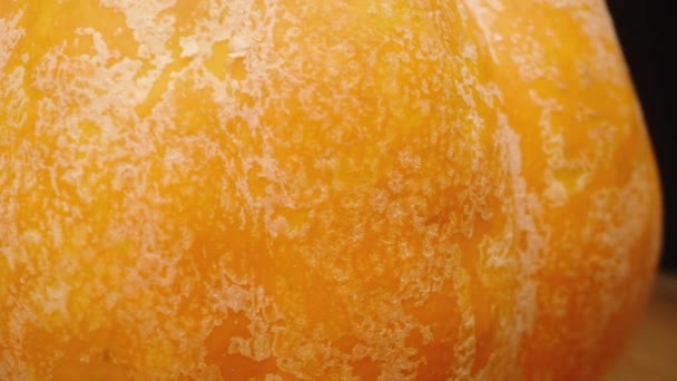 Υφή Της Κολοκύθας Πορτοκάλι Μακροεντολή Slider — Αρχείο Βίντεο