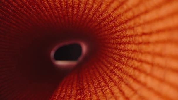 Caméra Déplace Intérieur Tissu Rouge Enroulé Révélant Aperçu Lumière Dolly — Video