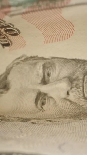 Dikey Video Kahverengi Kotun Cebinden Yavaşça 100 Dolarlık Banknotu Çıkarıyorum — Stok video
