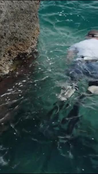 Verticale Video Een Man Met Vinnen Een Masker Zwemt Langs — Stockvideo
