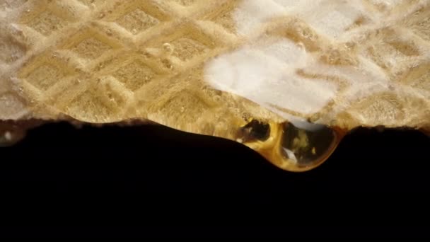 Een Druppel Honing Druipt Van Wafel Macro Slider Shot — Stockvideo