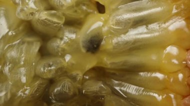 İçinde tohumlar ve meyve suyu olan tutku meyvesinin yarısı. Düşme kavramı. Siyah arkaplanda Macro kaydırıcı.