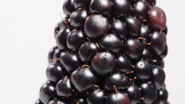 黑莓在白色背景上旋转的宏观视图 其微小的毛发可见 — 图库视频影像