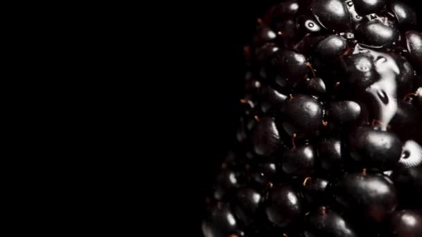 Slow Motion Water Droplets Drip Blackberry Rotates Black Background Macro — Stock Video