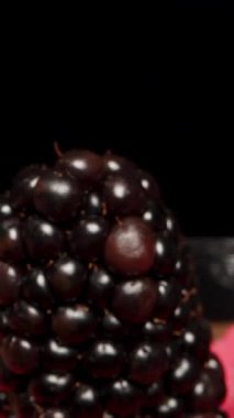 Dikey video. Blackberry 'yi siyah arka plandaki konteynıra geri koyuyorum. Sonra kapağı kapatıyorum. Dolly kaydırıcı aşırı yakın çekim.