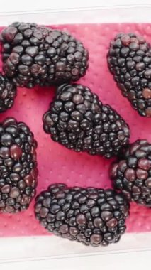 Dikey video. Kırmızı peçetenin üzerinde böğürtlen bulunan şeffaf plastik bir kap, yukarıdan görülüyor. İzole et