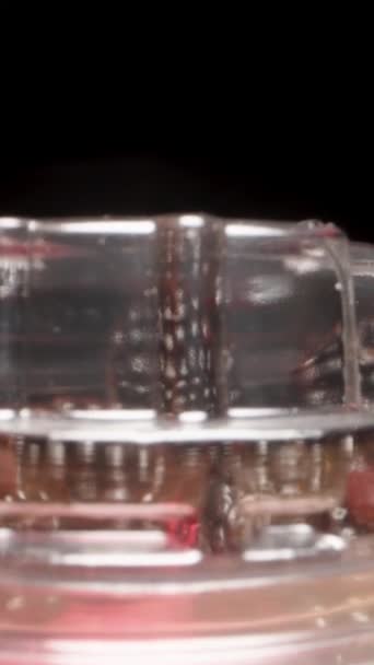 Κάθετο Βίντεο Ένα Διαφανές Πλαστικό Δοχείο Βατόμουρα Στο Εσωτερικό Ανοίγω — Αρχείο Βίντεο