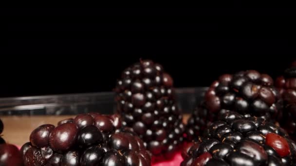 黑莓在一个透明的塑料容器中 背景是黑色的 相机通过浆果向后移动 然后我关上盖子 — 图库视频影像