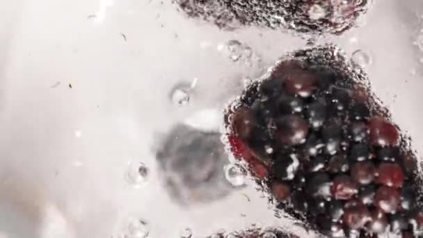 Die Brombeeren Fallen Zeitlupe Mit Blasen Ins Wasser Von Oben — Stockvideo