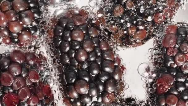 ブラックベリーのベリーは トップビュー クローズアップで泡で覆われています — ストック動画