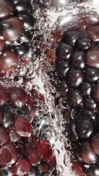 垂直录像 黑莓覆有气泡的水 顶部视图 — 图库视频影像
