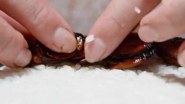 Kvinnan Sprider Det Kokta Musselköttet Jämnt Rislagret Närbild — Stockvideo