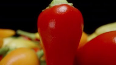 Kamera kırmızı biberiyeye makro zum yapar, sonra da çok renkli mini biberlerin arasından geriye doğru süzülür..