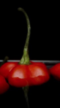 Dikey video. Kamera geriye doğru hareket ediyor ve The Star of Turkey 'in kırmızı biberleri siyah arka planda suya düşüyor. Yavaş çekim makrosu.