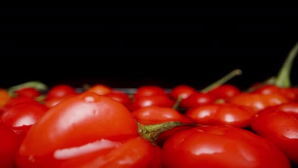 在土耳其之星的红色迷你辣椒上 相机慢慢地向后移动 在黑色背景的水面上漂浮着各种各样的辣椒 — 图库视频影像