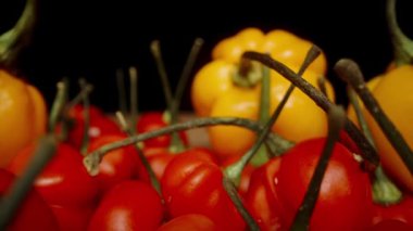 Masada Habanero ve The Star türleri de dahil olmak üzere sarı ve kırmızı biber karışımı. Onları masadan topluyorum, ağır çekim makro çekim..