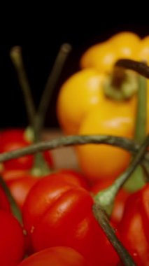 Dikey video. Masada Habanero ve The Star türleri de dahil olmak üzere sarı ve kırmızı biber karışımı. Onları masadan topluyorum, ağır çekim makro çekim..