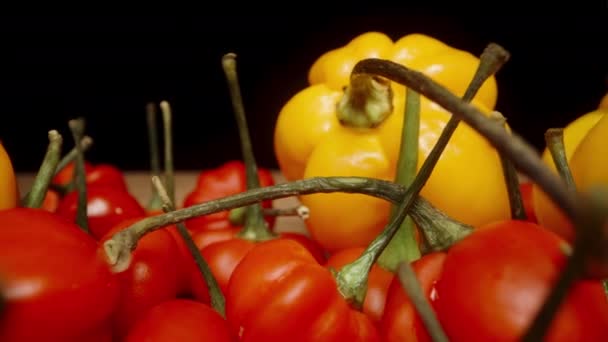 Een Verstrooiing Van Een Mengsel Van Gele Rode Hete Paprika — Stockvideo