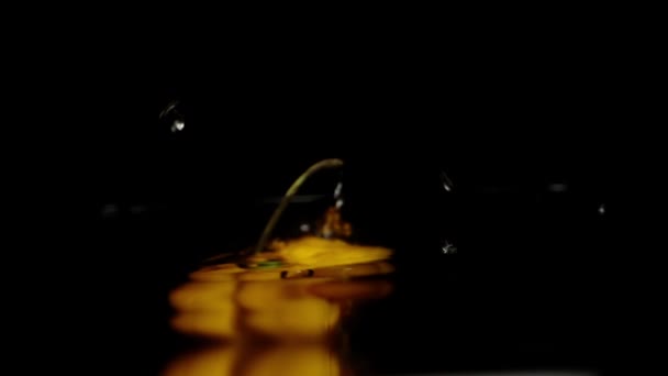 Желтый Перец Habanero Падает Воду Черном Фоне Замедленной Съемке Крупным — стоковое видео