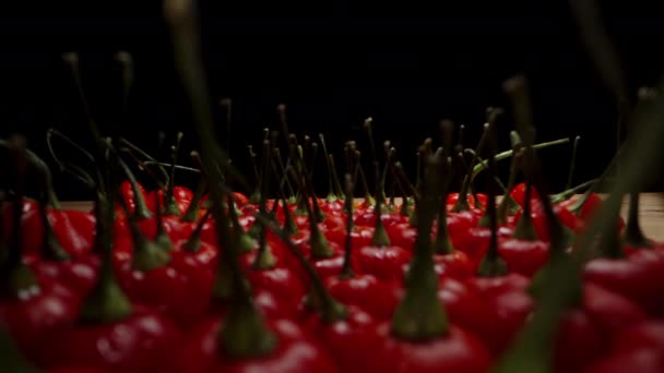 Filas Mini Pimientos Rojos Con Gotitas Agua Emergen Lentamente Oscuridad — Vídeo de stock