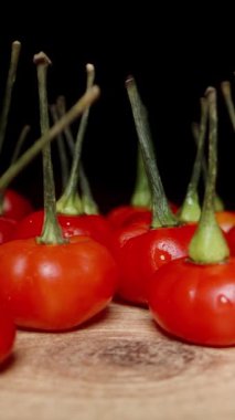 Dikey video. Habanero ve The Star türlerinin sarı ve kırmızı baharatlı biberlerini ellerimle kameraya doğru kaydırıyorum. Dolly kaydırıcı aşırı yakın çekim.