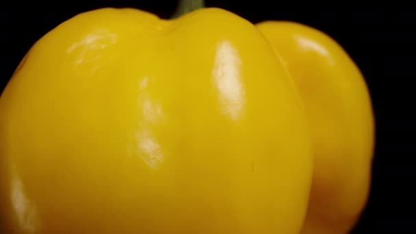 一只黄色的哈巴内罗胡椒在黑色的背景上旋转 模拟下降 宏观变焦 被隔离了 — 图库视频影像