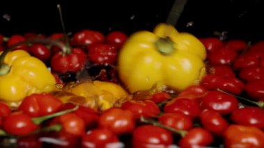 Üç sarı Habanero biberi, Türkiye Yıldızı 'nın küçük kırmızı biberleriyle birlikte yavaş çekimde suya düşüyor..