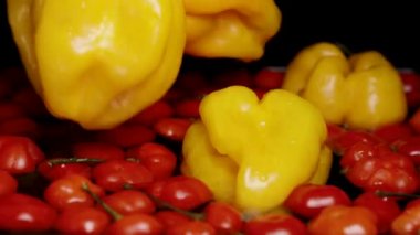 Sudan sarı Habanero biberlerini çıkarırken, Türkiye Yıldızı 'nın kırmızı biberleri siyah zeminde yüzmeye devam ediyor. Ağır çekimde.