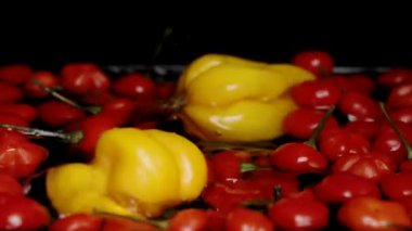 Sarı Habanero biberleri, Türkiye Yıldızı 'nın kırmızı mini biberleriyle birlikte yavaş çekimde, siyah bir arkaplana doğru suya düşer..