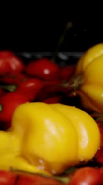 Dikey video. Sarı Habanero biberleri, Türkiye Yıldızı 'nın kırmızı mini biberleriyle birlikte yavaş çekimde, siyah bir arkaplana doğru suya düşer..