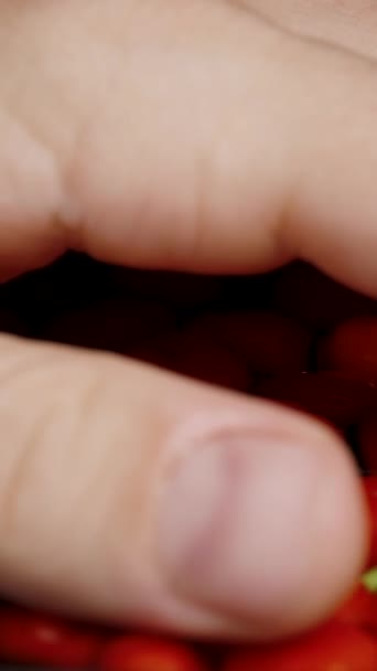 Vídeo Vertical Recogí Los Mini Pimientos Rojos Estrella Turquía Del — Vídeo de stock
