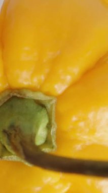 Dikey video. Sarı Habanero biberinin düşüşünün ve dönüşünün yukarıdan aşağı görüntüsü, diğer biberler aşağıda yatarken. Hareket etki etmesi için yavaşlatıldı. Kapat.